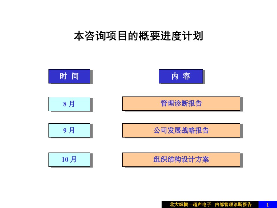 某电子公司管理诊断报告