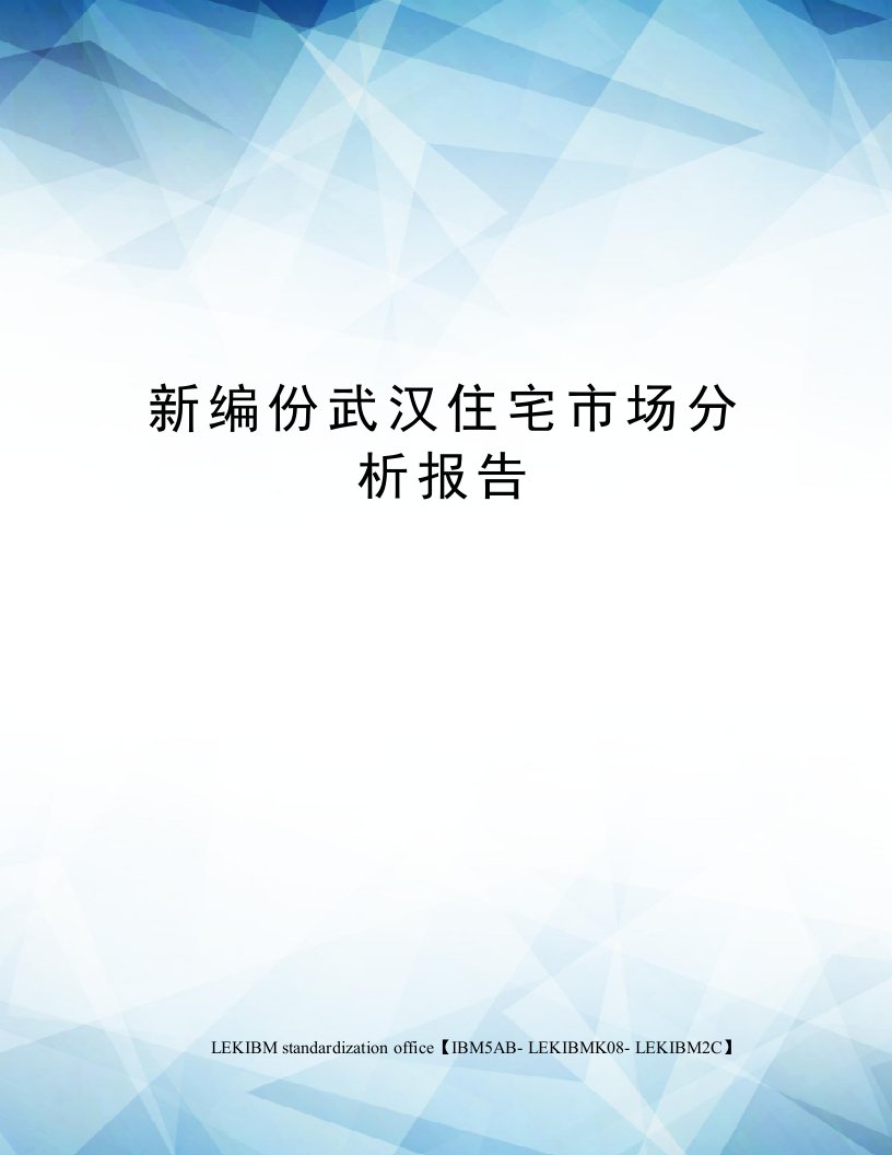 新编份武汉住宅市场分析报告