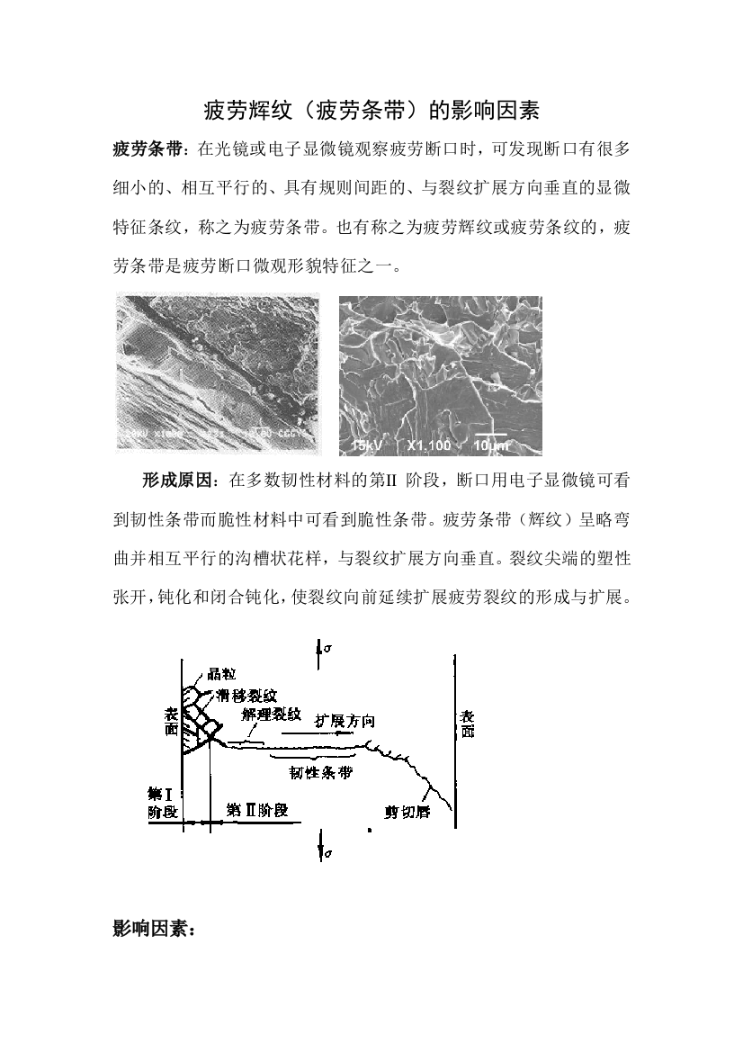 疲劳条带的影响因素