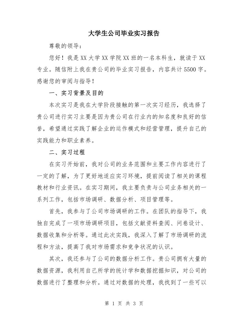 大学生公司毕业实习报告