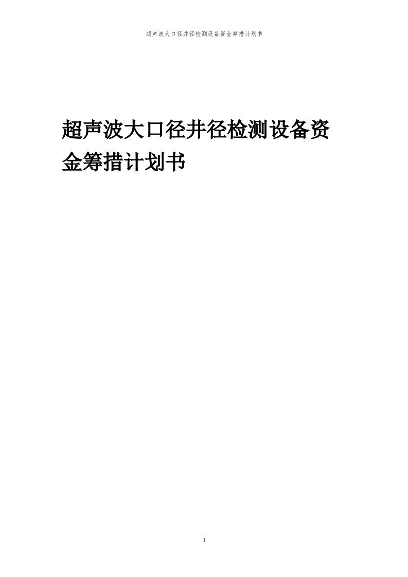 2024年超声波大口径井径检测设备项目资金筹措计划书代可行性研究报告