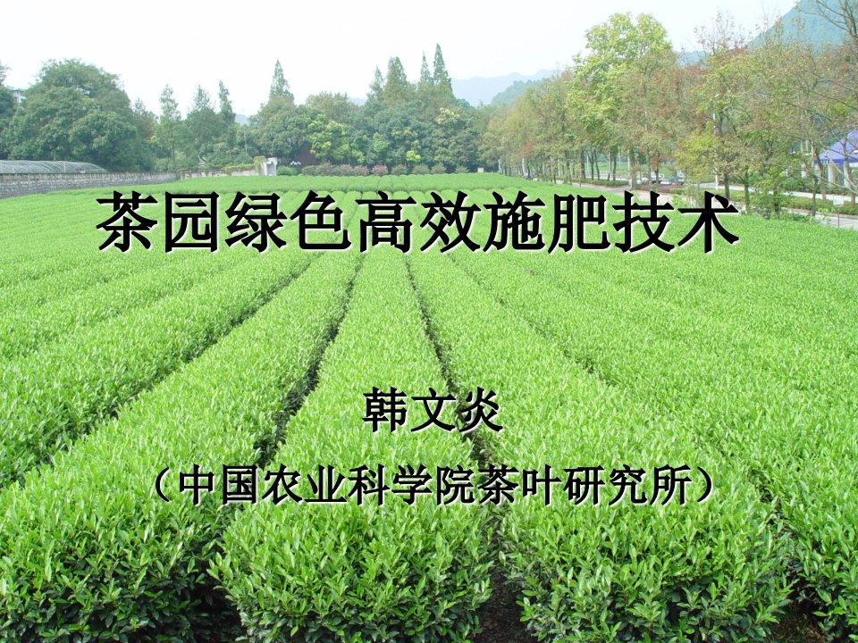 茶园绿色高效施肥技术梅州课件