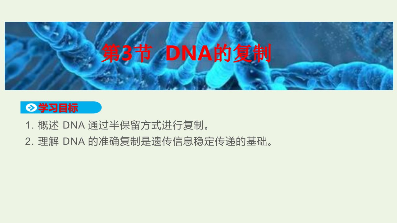 新教材高中生物第3章基因的本质第3节DNA的复制课件新人教版必修2