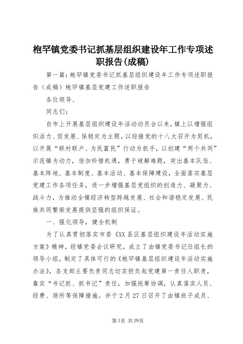 枹罕镇党委书记抓基层组织建设年工作专项述职报告(成稿)