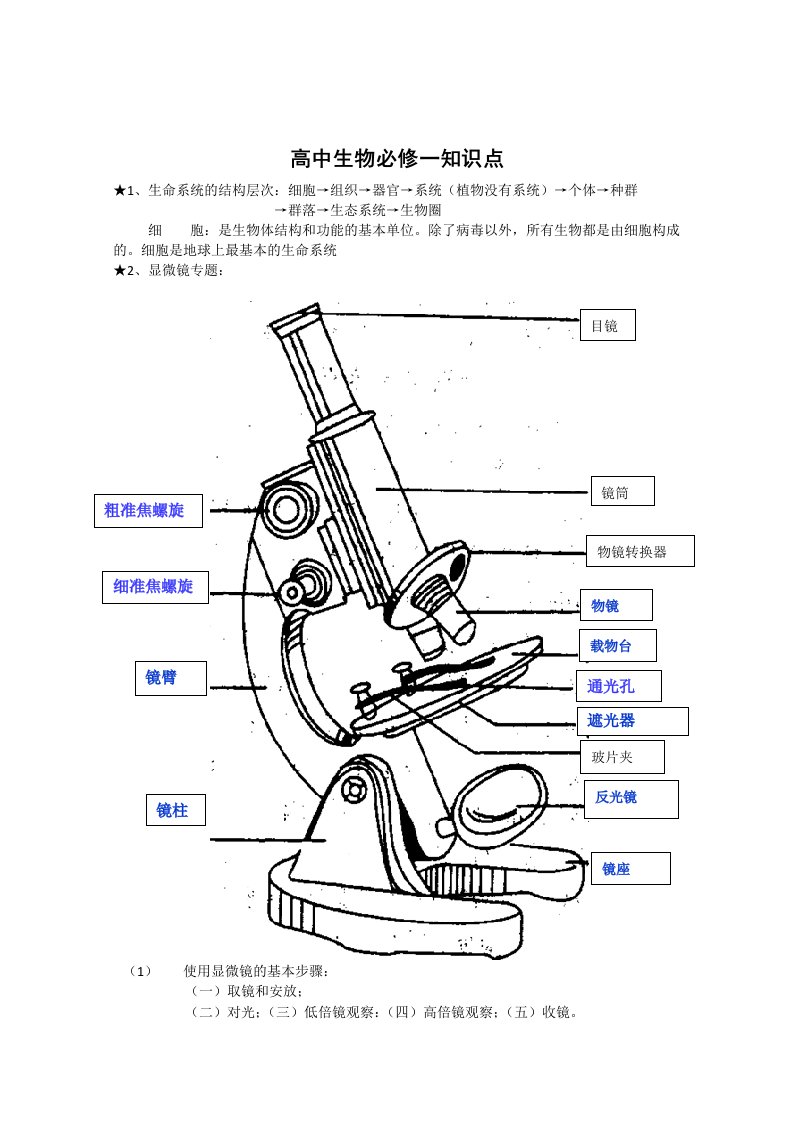 高中生物必修一知识点(整理过)