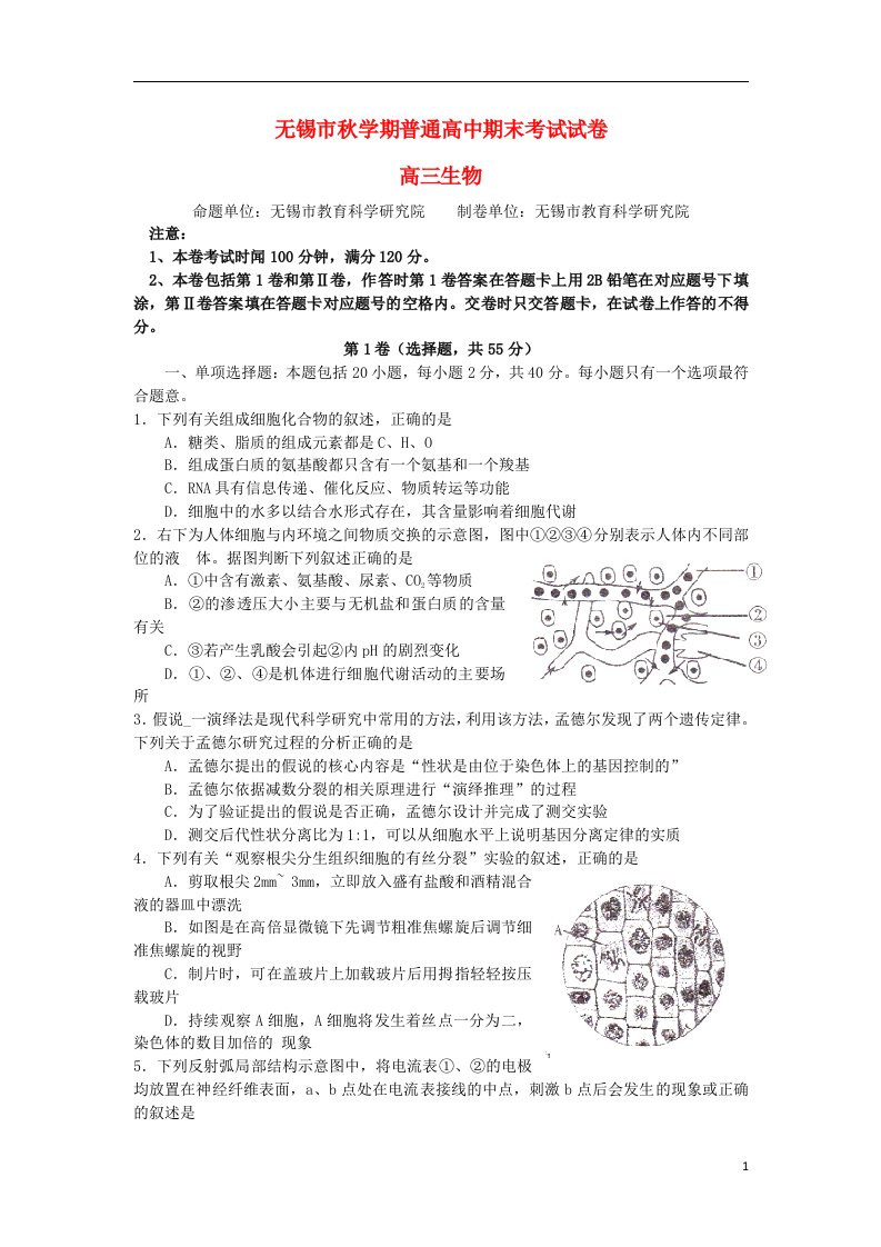 江苏省无锡市高三生物上学期期末考试试题苏教版