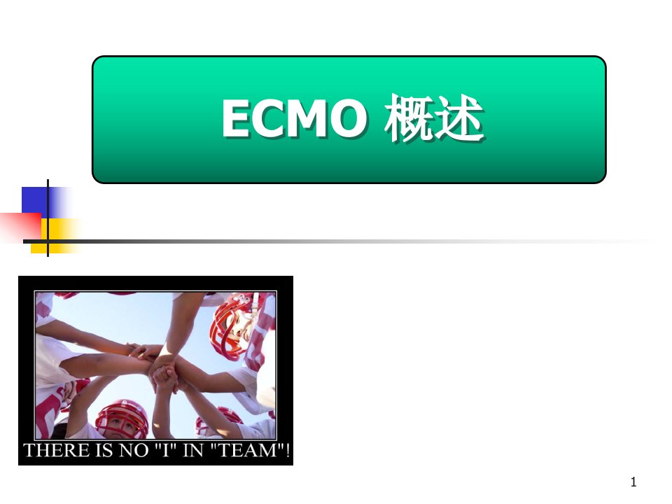 （优质医学）ecmo