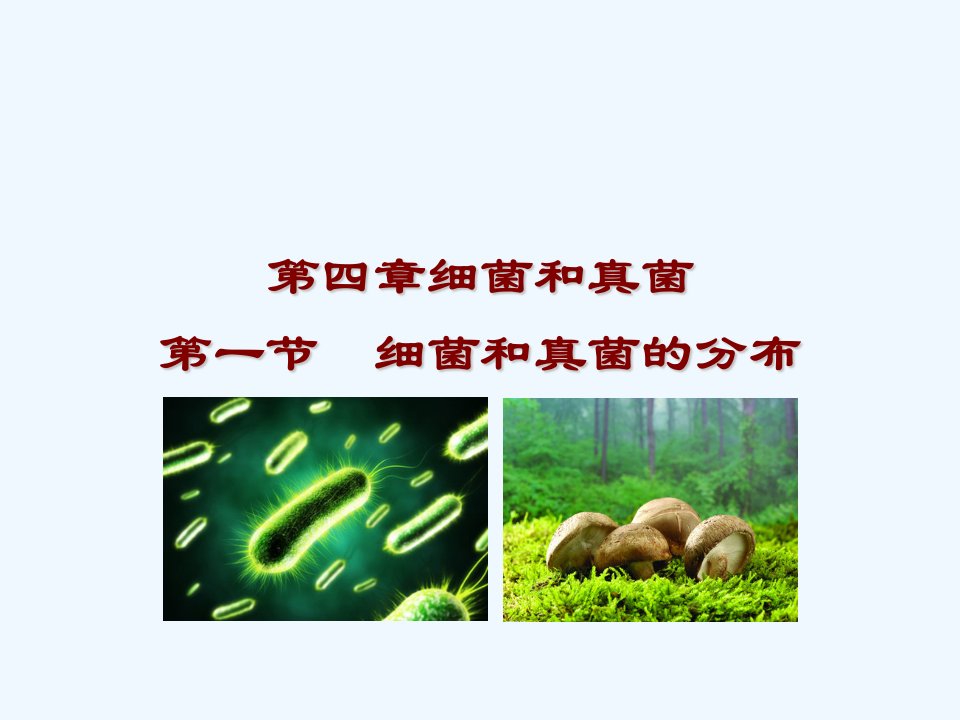 人教初中生物八上《第5单元