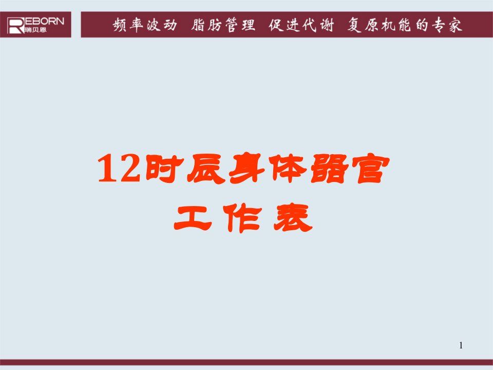 12时辰身体器官工作表