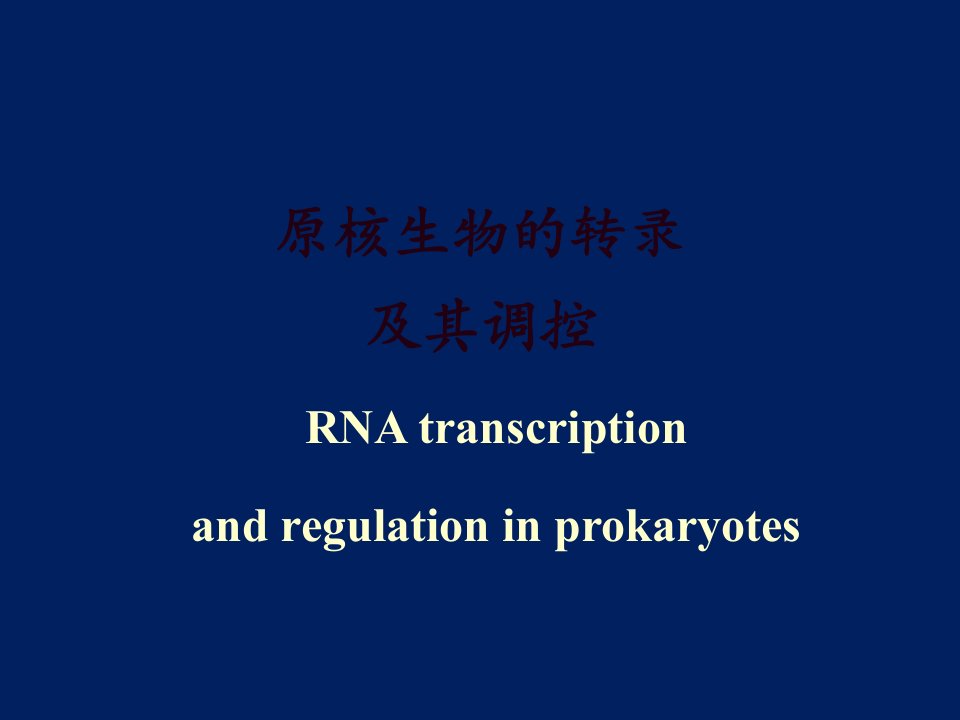 原核生物的转录及调控