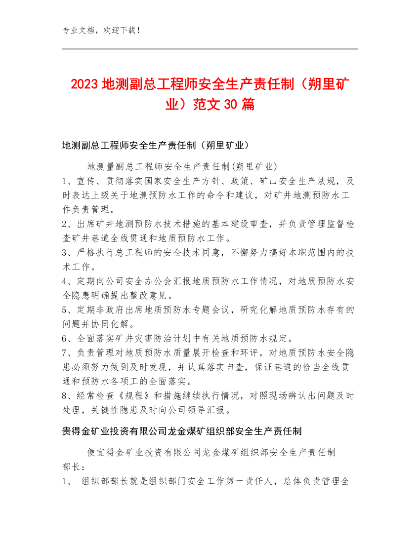 2023地测副总工程师安全生产责任制（朔里矿业）范文30篇