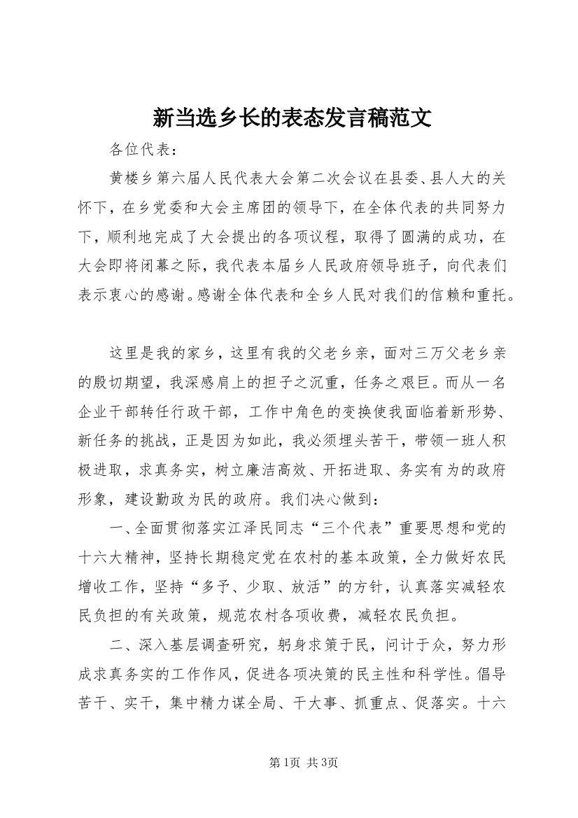 新当选乡长的表态发言稿范文