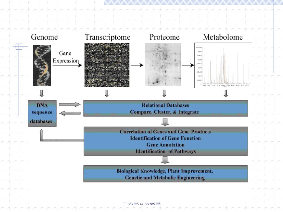 基因组学课件11代谢组学