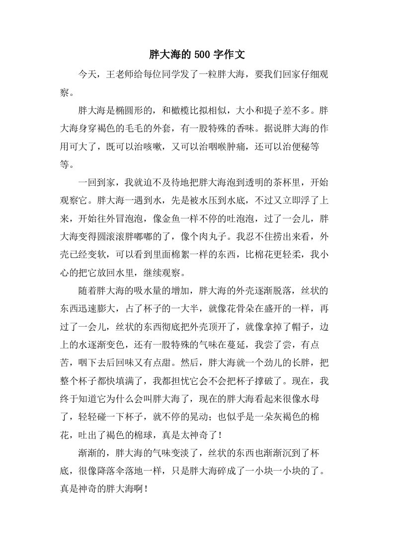 胖大海的500字作文