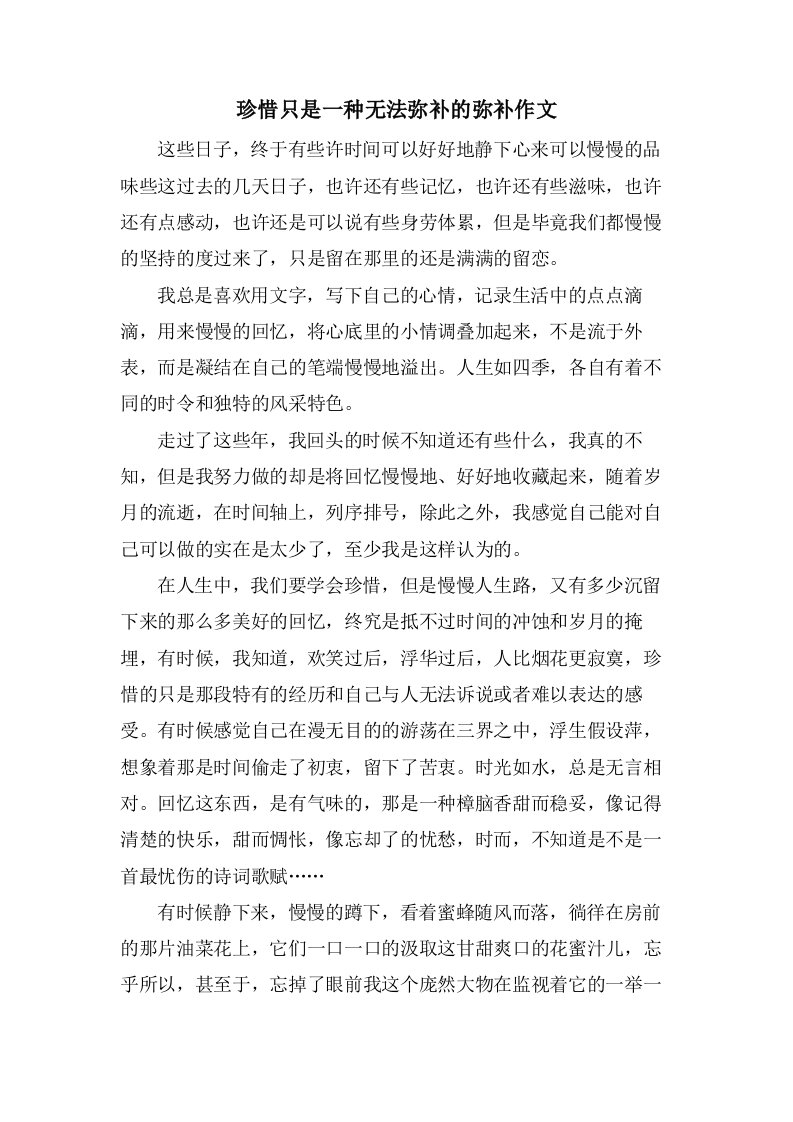 珍惜只是一种无法弥补的弥补作文