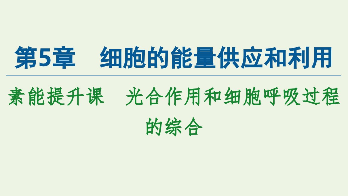 新教材高中生物第5章细胞的能量供应和利用素能提升课光合作用和细胞呼吸过程的综合课件新人教版必修1