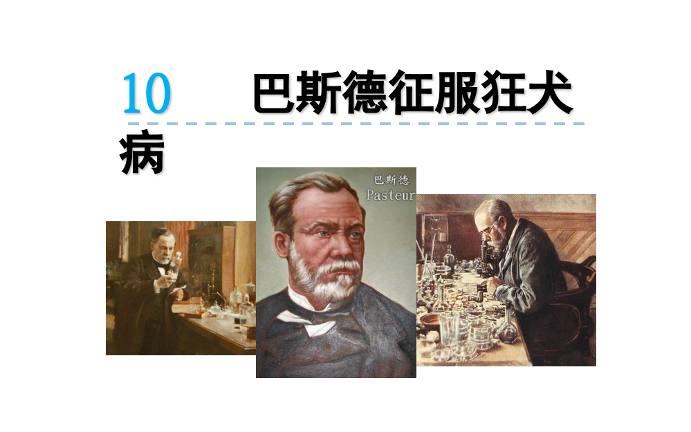 语文版四下10《巴斯德征服狂犬病》2