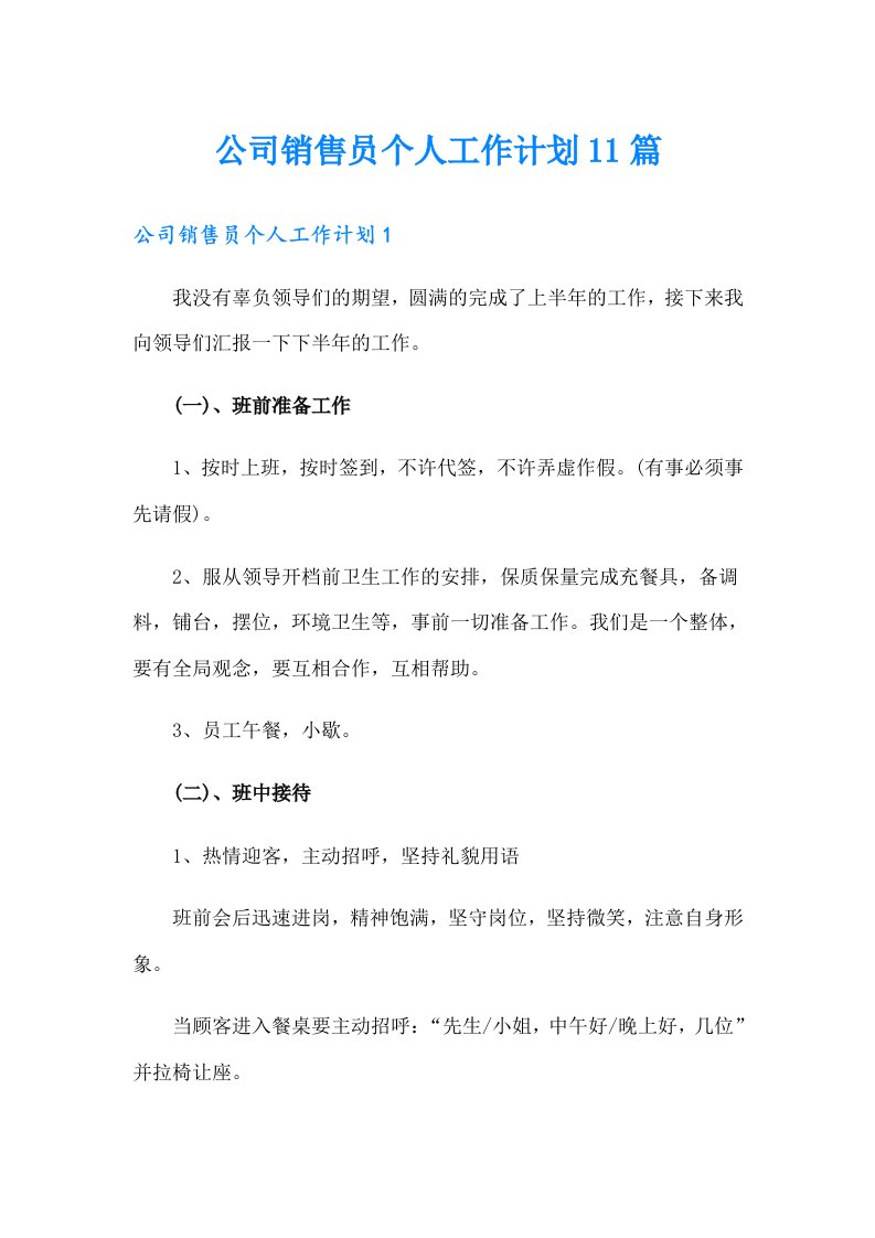 公司销售员个人工作计划11篇