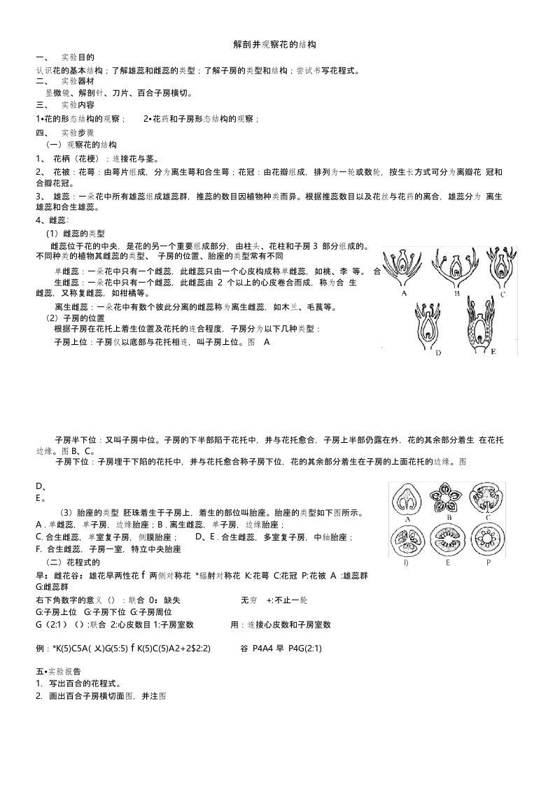 花的解剖实验报告图文