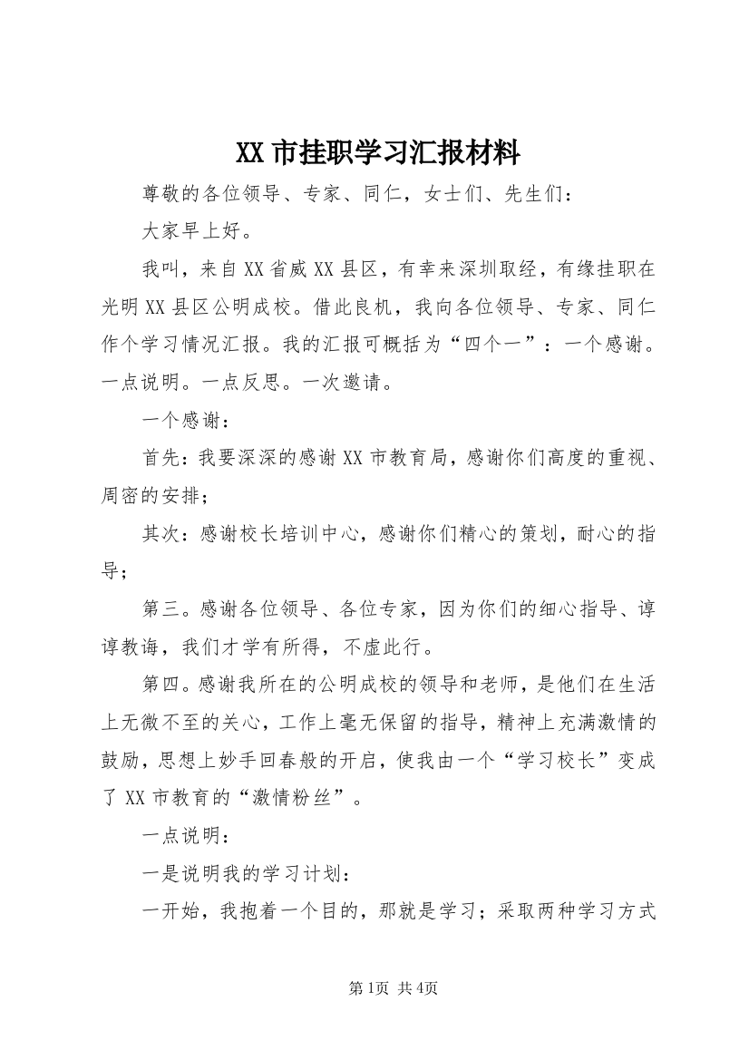 XX市挂职学习汇报材料