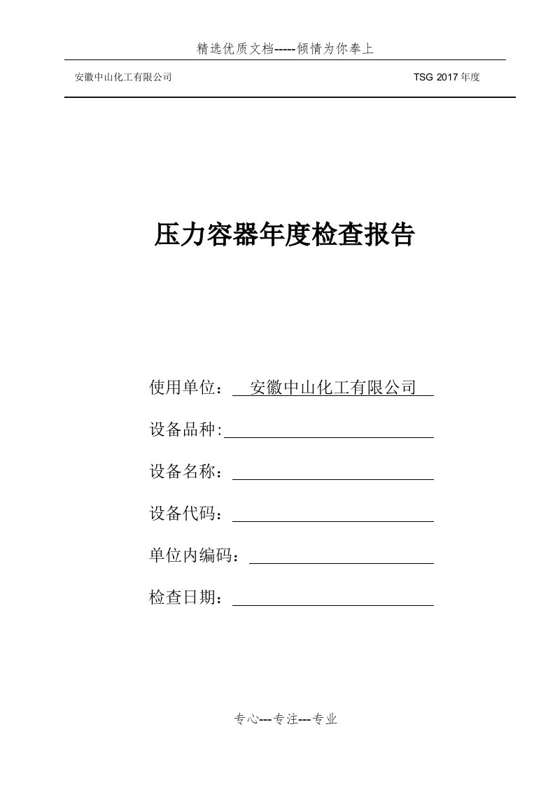 特种设备年度检查报告(共4页)