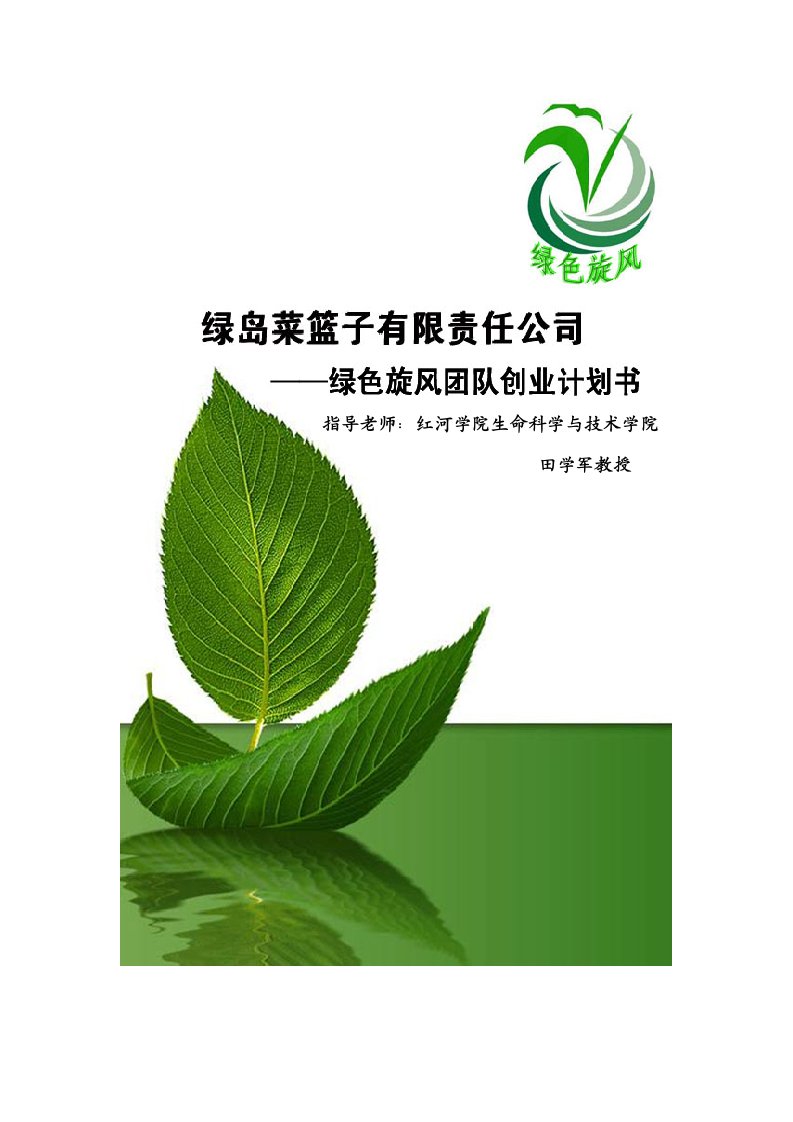 商业计划书-绿岛菜篮子有限责任公司创业计划