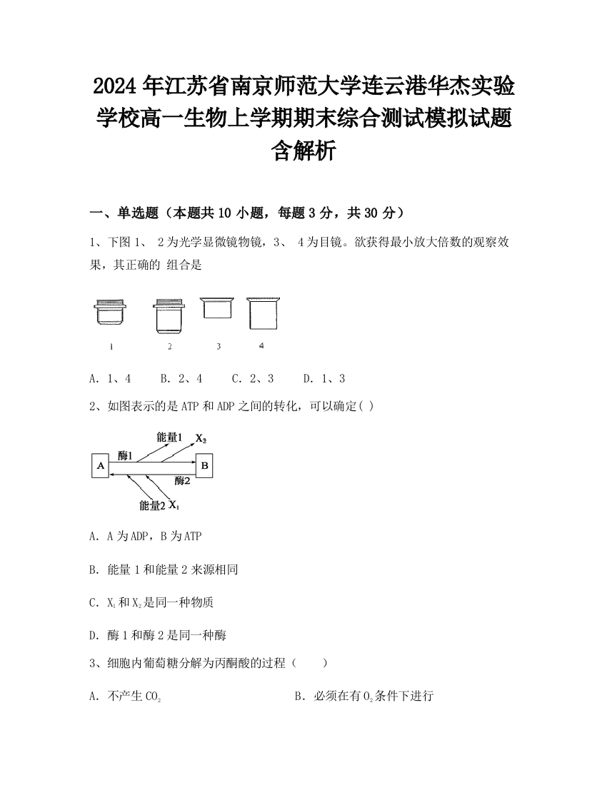 2024年江苏省南京师范大学连云港华杰实验学校高一生物上学期期末综合测试模拟试题含解析