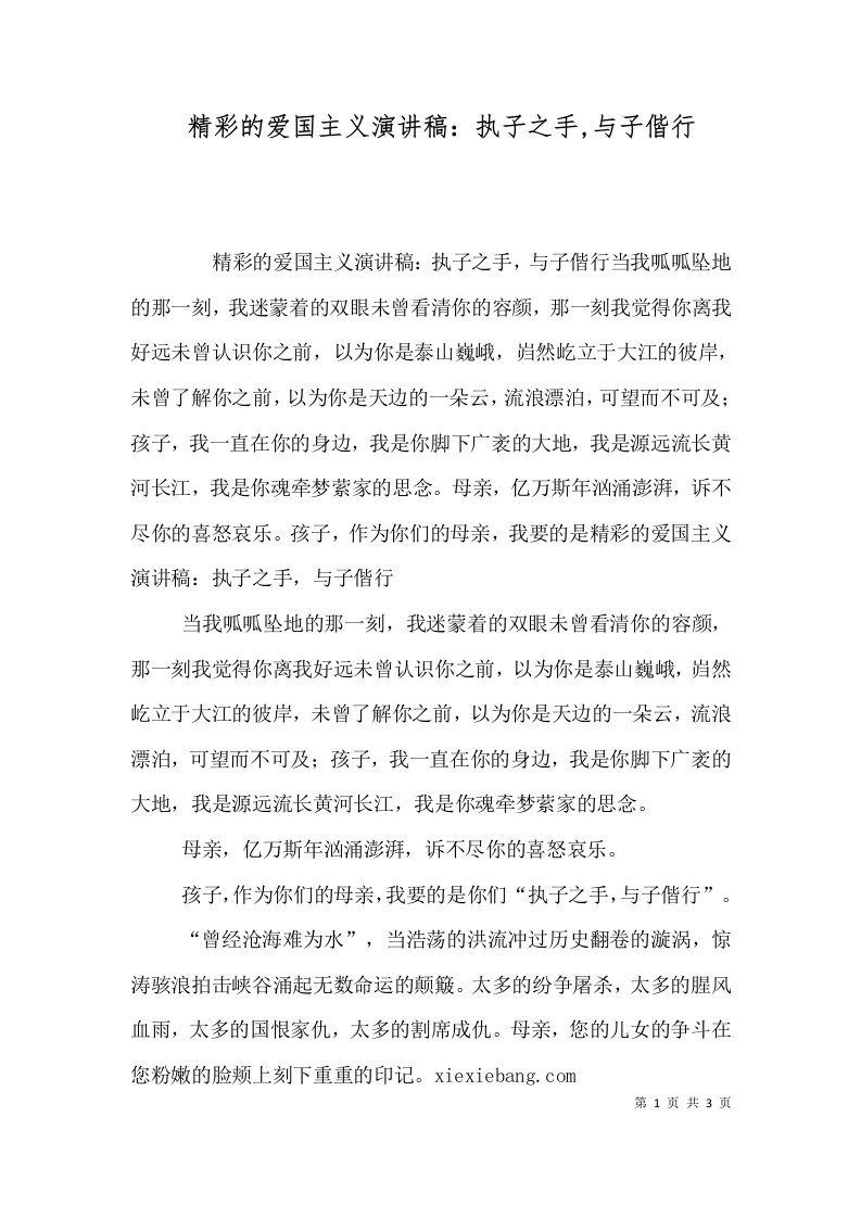 精彩的爱国主义演讲稿：执子之手,与子偕行（三）