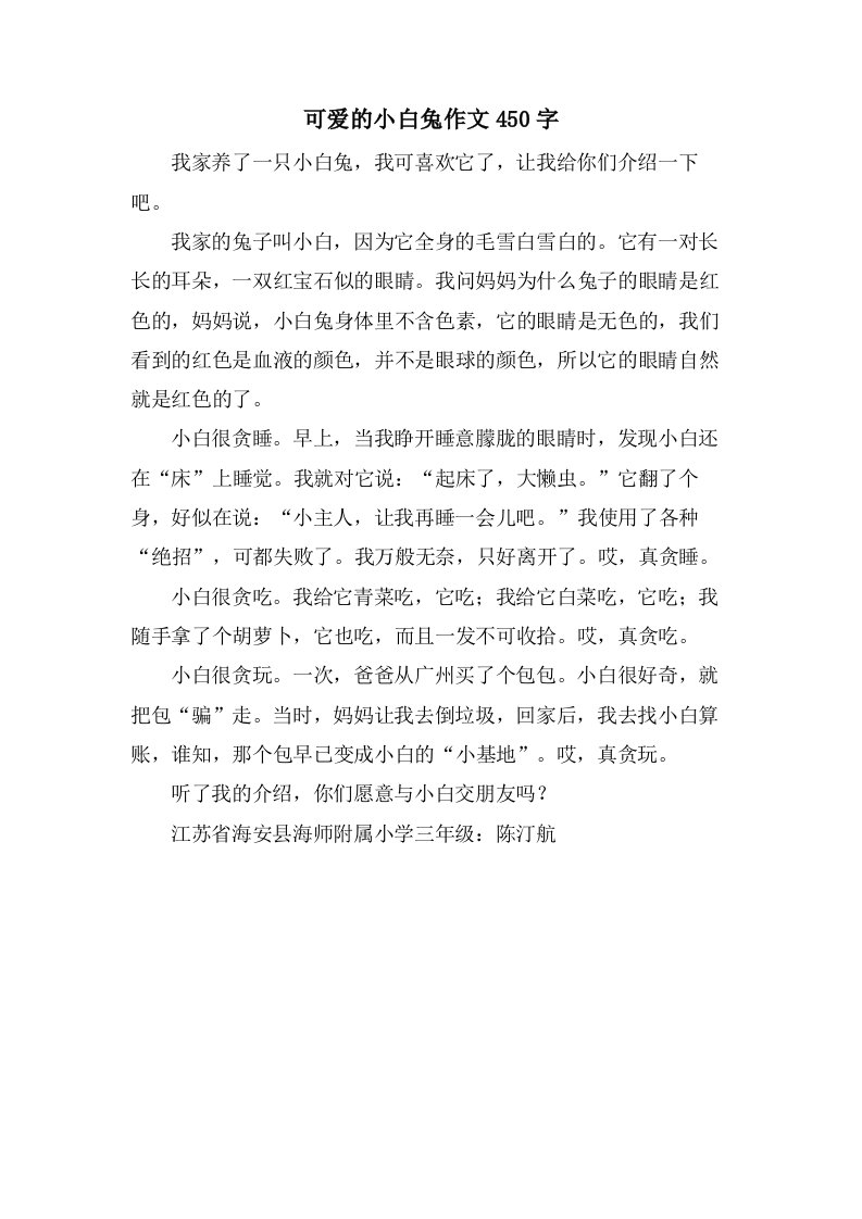 可爱的小白兔作文450字