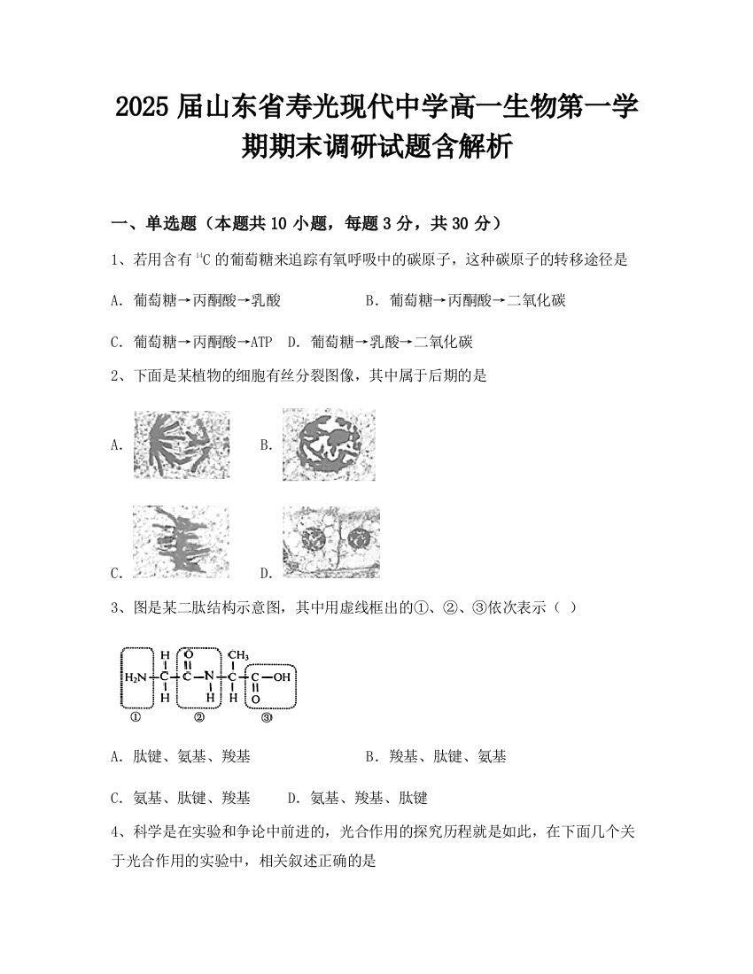 2025届山东省寿光现代中学高一生物第一学期期末调研试题含解析