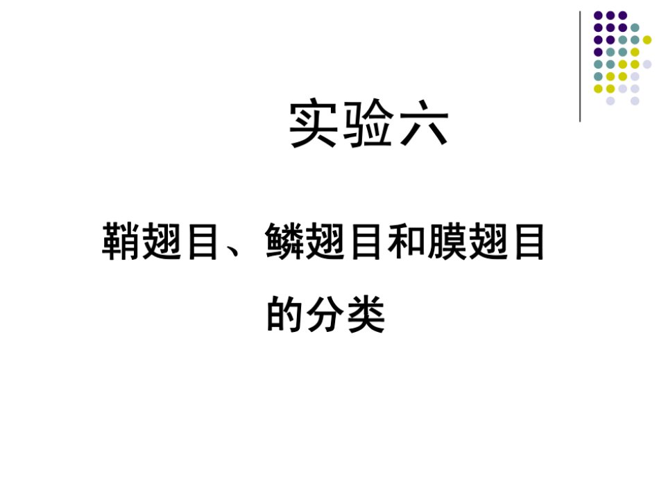 鞘翅目、鳞翅目、膜翅目分类