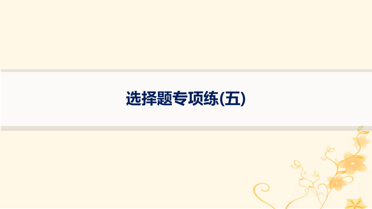 适用于新高考新教材2024版高考化学二轮复习选择题专项练5课件