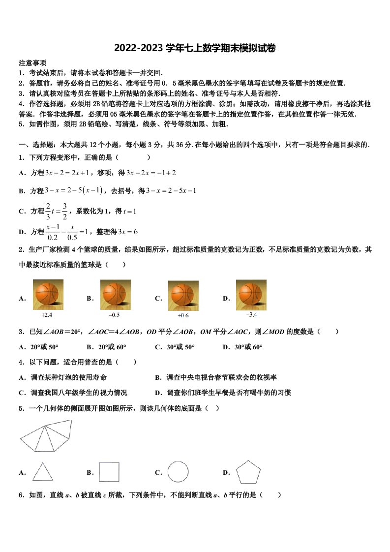 2023届湖北省天门市多宝镇第二中学数学七年级第一学期期末复习检测模拟试题含解析