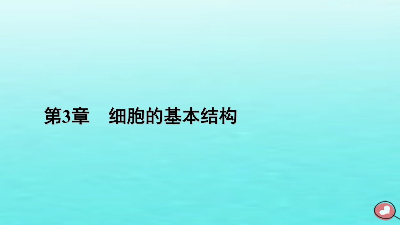 新教材2023年高中生物第3章细胞的基本结构第3节细胞核的结构和功能课件新人教版必修1