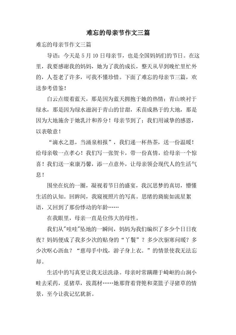 难忘的母亲节作文三篇