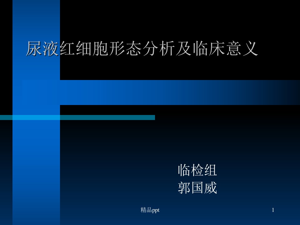 尿液红细胞形态分PPT课件