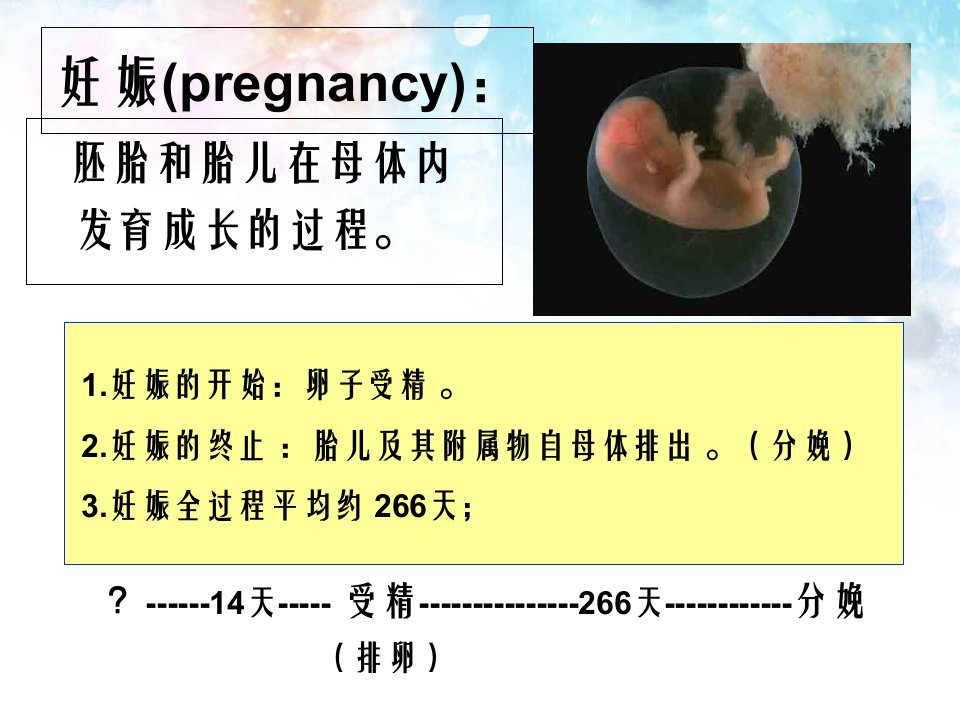 妇产科教案妊娠生理