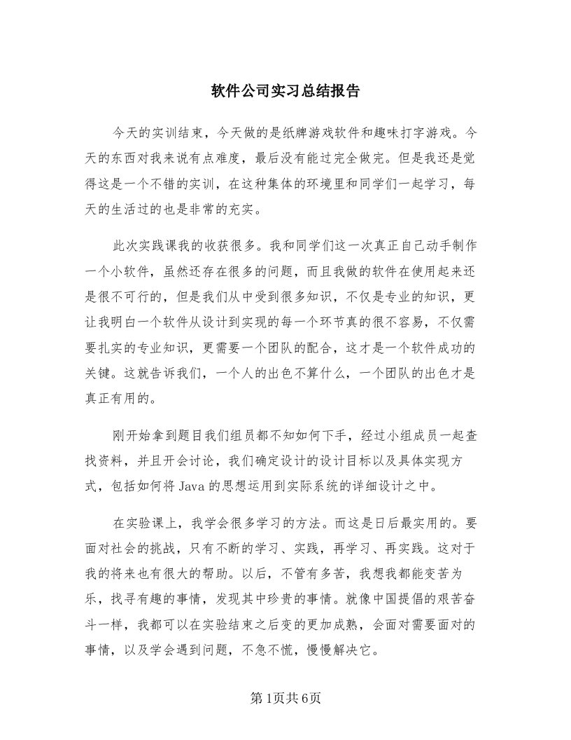 软件公司实习总结报告（3篇）