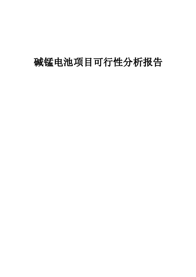 碱锰电池项目可行性分析报告