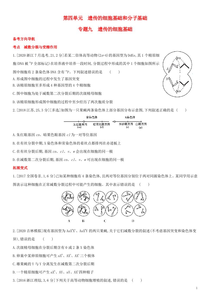 全国通用版2022年高考生物考点题型拓展复习第四单元专题九遗传的细胞基础