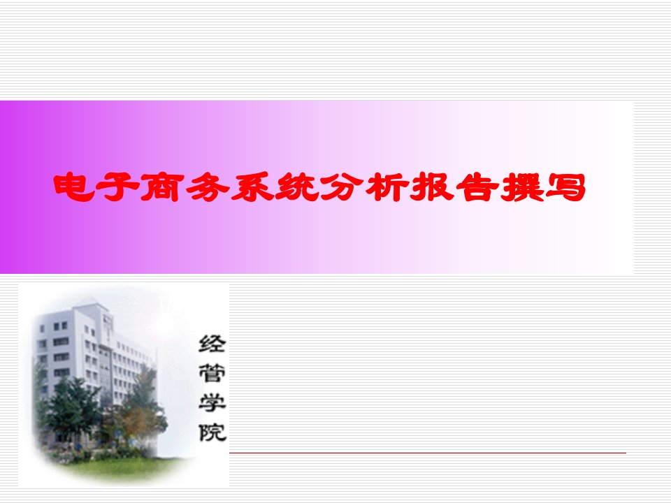 电子商务系统分析报告撰写-课件(PPT演示稿)