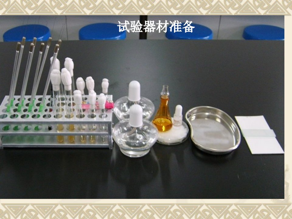 医学微生物学实验脓汁和粪便标本中病原菌的检测6(4)省名师优质课赛课获奖课件市赛课一等奖课件