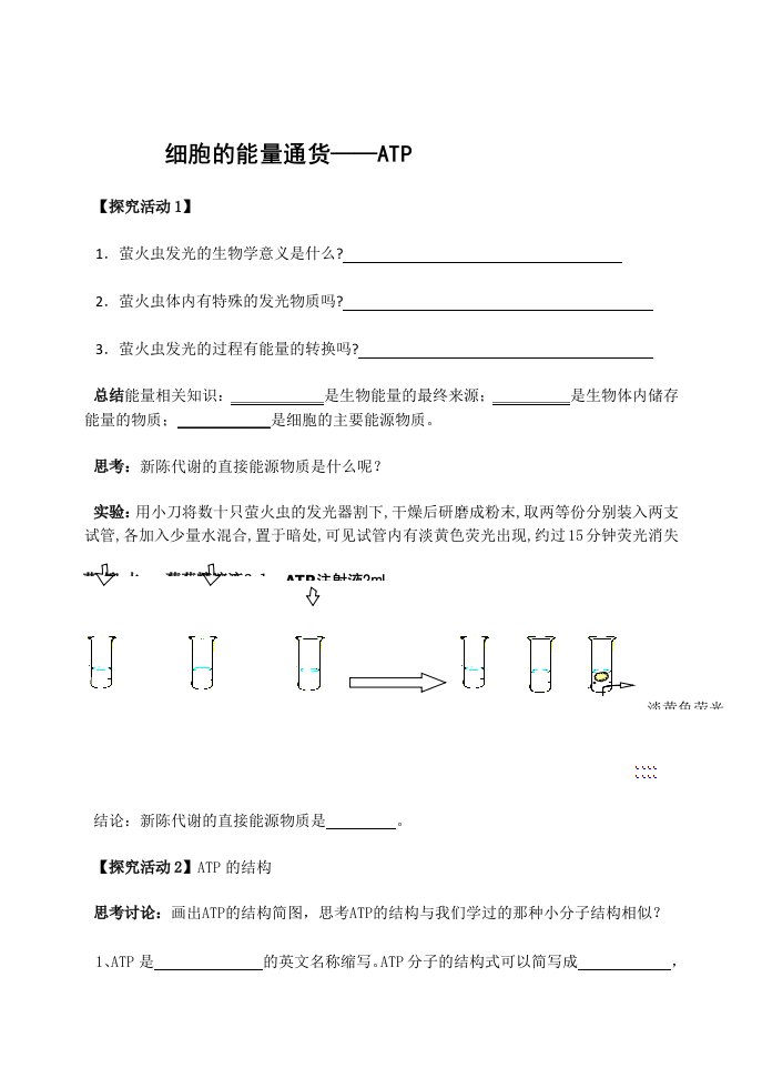 细胞的能量通货—ATP学案