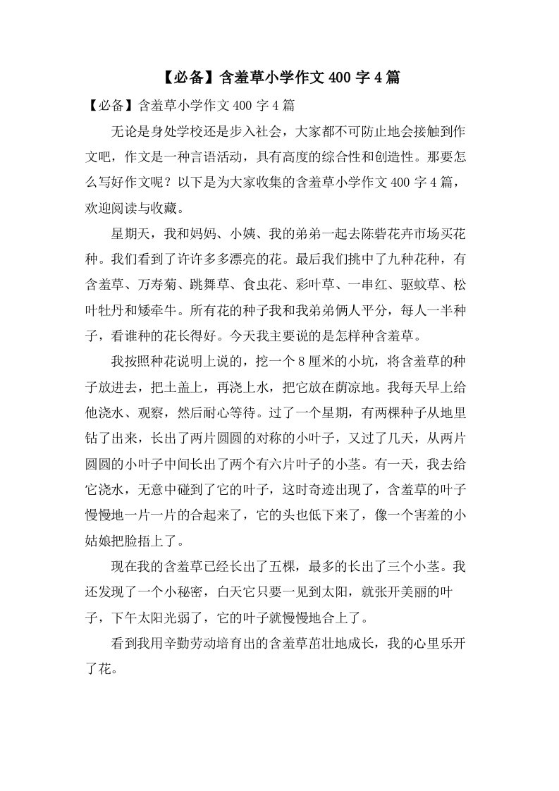 含羞草小学作文400字4篇