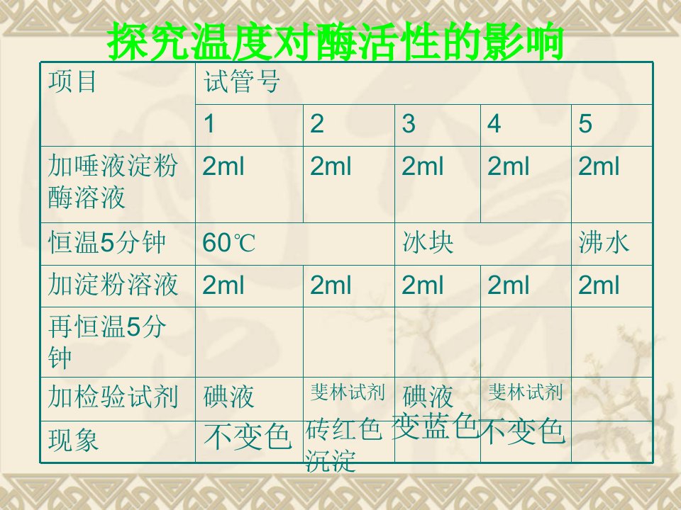 酶的有关实验总结