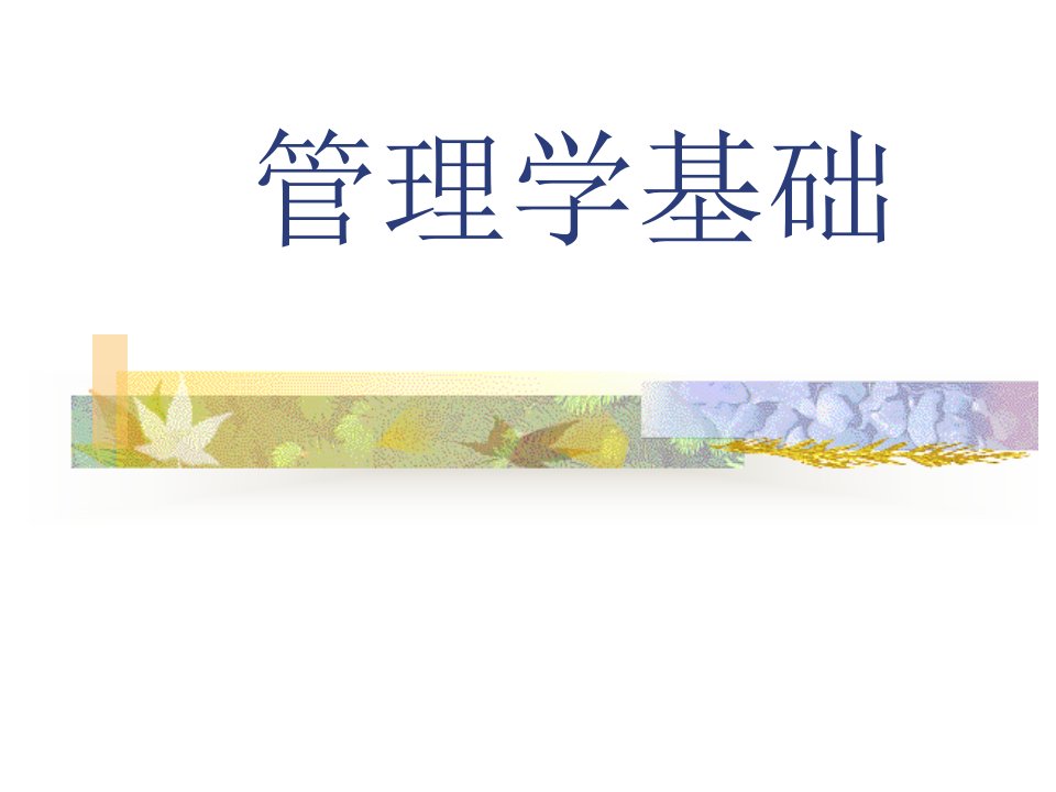 管理学基础-1