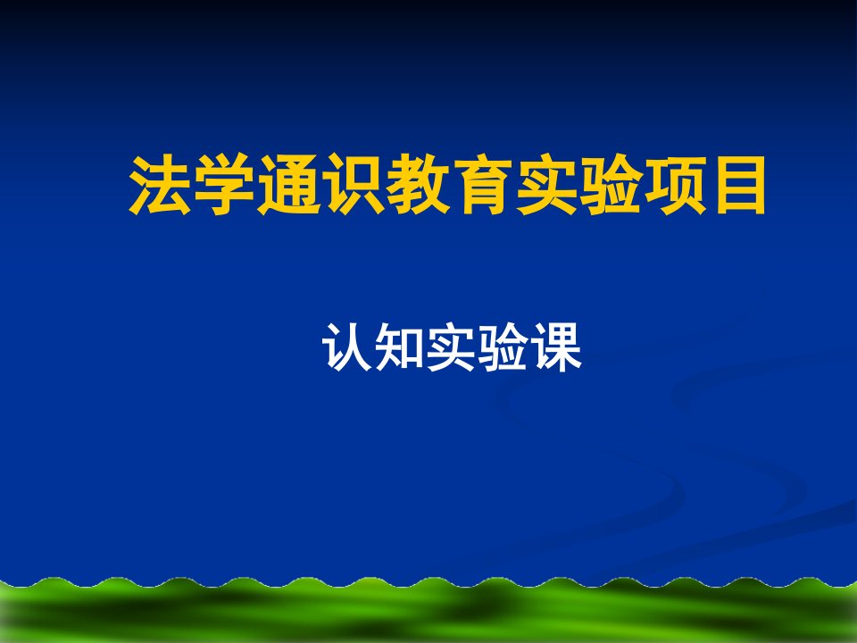 最新法学通识教育实验项目