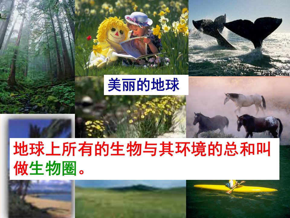 陕西省七年级生物上册