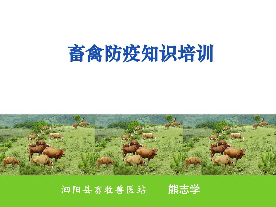 防疫员培训课件