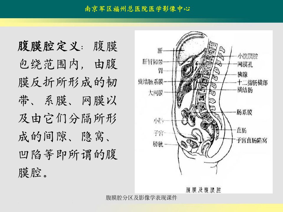 腹膜腔分区及影像学表现课件